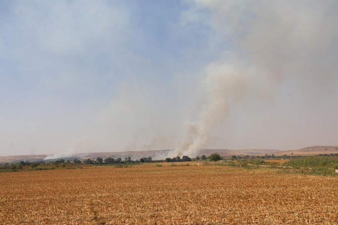 Batman'da uyarılara rağmen anız yakmalar devam ediyor