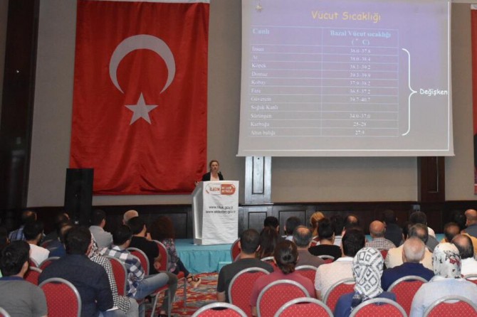 Yanlış ve gereksiz ilaç kullanımı sağlığı etkileyen ciddi bir sorundur