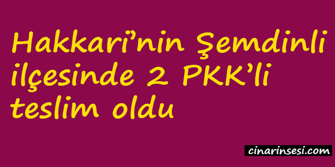 Hakkari Şemdinli’de 2 PKK’li teslim oldu