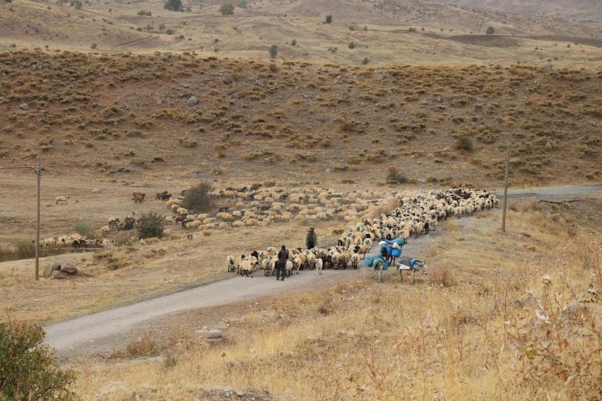​Göçerlerin zorlu dönüş yolculuğu başladı