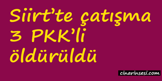 Siirt’te çatışma: 3 PKK’li öldürüldü