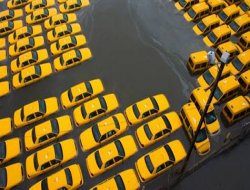 ABD'de petrol karneye bağlandı