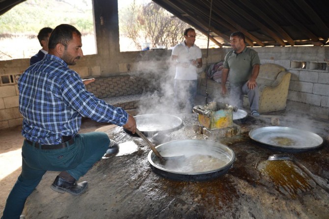 İskambo pekmezi kazanlarda kaynamaya başladı