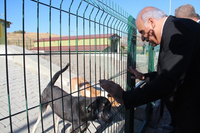 Allah’ın yarattığı her cana hizmet ediyoruz