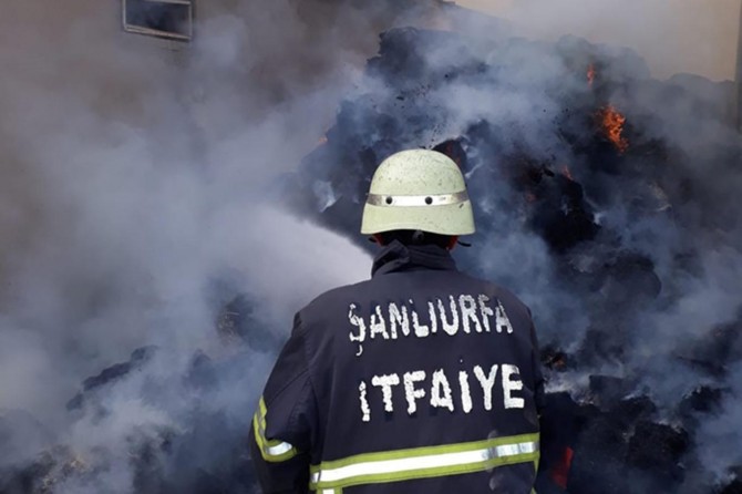 Şanlıurfa’da hayvan çiftliğinde çıkan yangın korkuttu