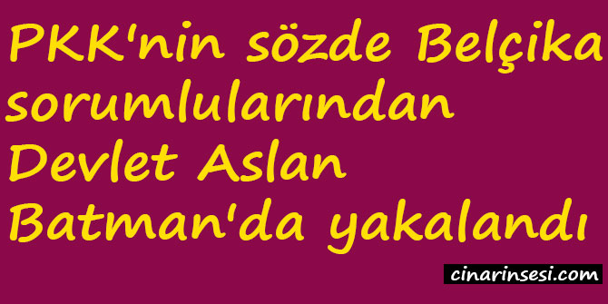 PKK'nin sözde Belçika sorumlusu Batman'da yakalandı