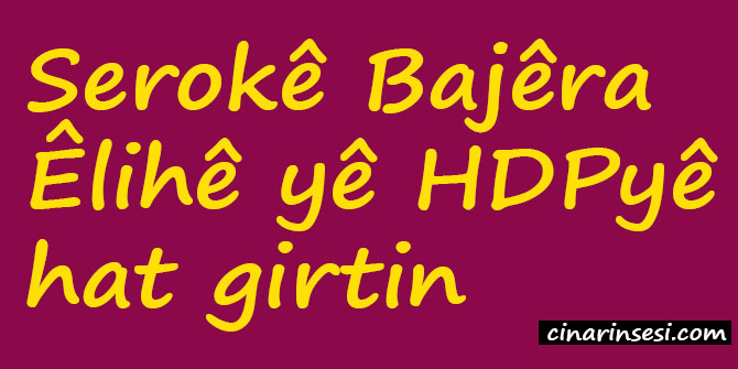 Serokê Bajêra Êlihê yê HDPyê hat girtin