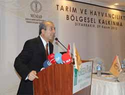 Tarım ve Hayvancılıkta Bölgesel Kalkınma