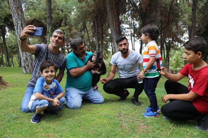 Yavru şempanze ziyaretçilerin ilgi odağı oldu