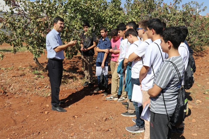 Öğrenciler fıstık gibi öğreniyor
