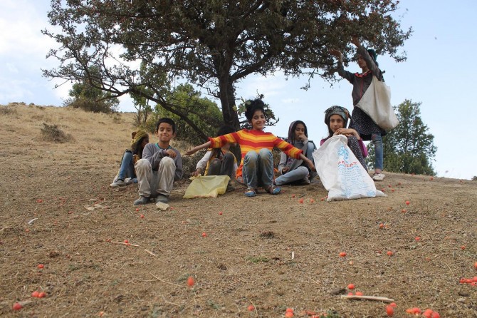 Çocukların alıç toplaması renkli görüntüler oluşturdu