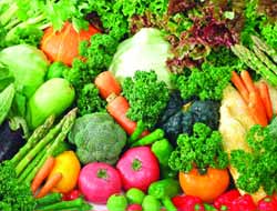 Kış Ayının Nimetleri Her Derde Deva