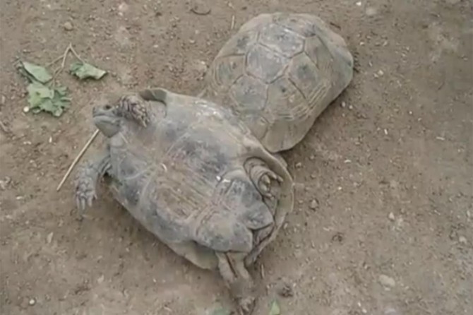 Tarihi ilçede duygulandıran kare