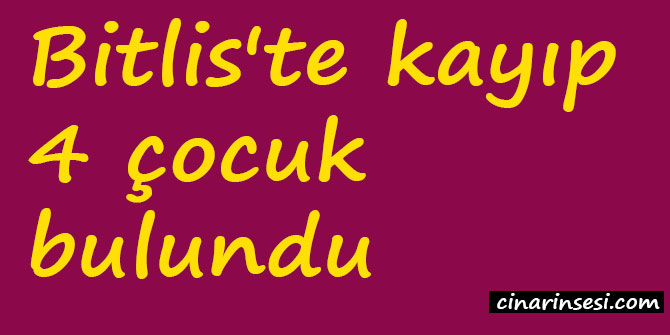 Bitlis'te kayıp 4 çocuk bulundu