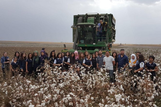 Öğrenciler pamuk tarlasında ders işledi