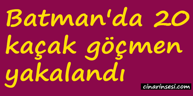 Batman'da 20 kaçak göçmen yakalandı