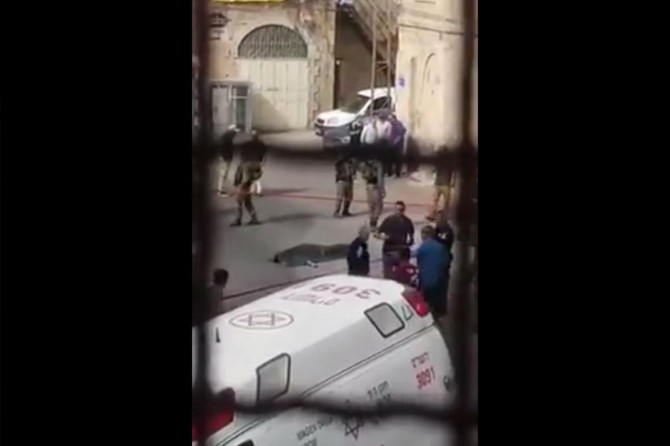 Palestinian activist martyred by zionist gangs