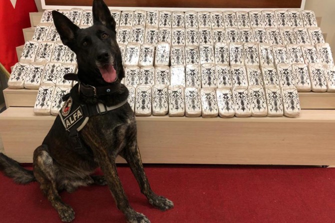 Van’da 132 kilo eroin ele geçirildi