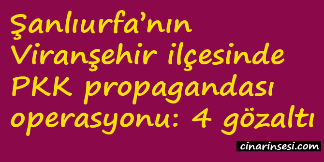 Şanlıurfa Viranşehir 'de PKK propagandasına operasyon: 4 gözaltı