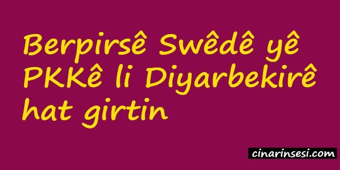 Berpirsê Swêdê yê PKKê li Diyarbekirê hat girtin