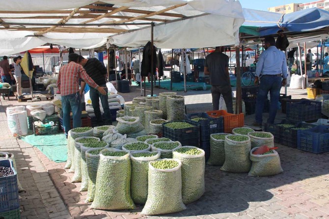Yüksek fiyatlar zeytin pazarlarını da etkiledi