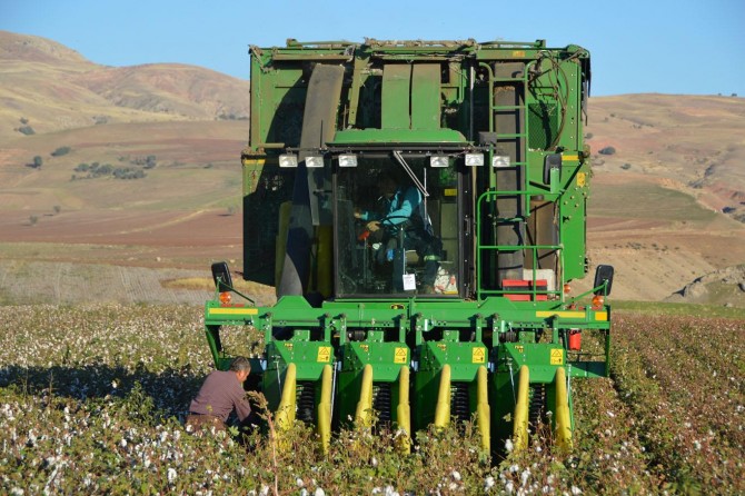 Siirt’te geciken pamuk hasadına başlandı