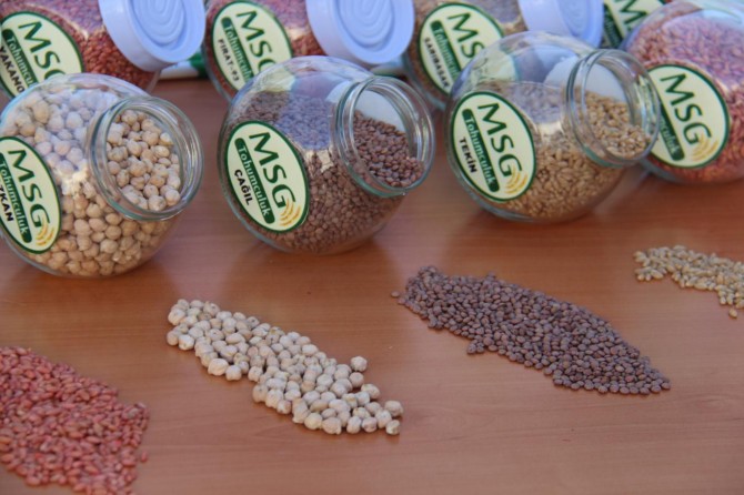 Diyarbakır'da 37 çiftçiye 51 ton ücretsiz tohum dağıtıldı