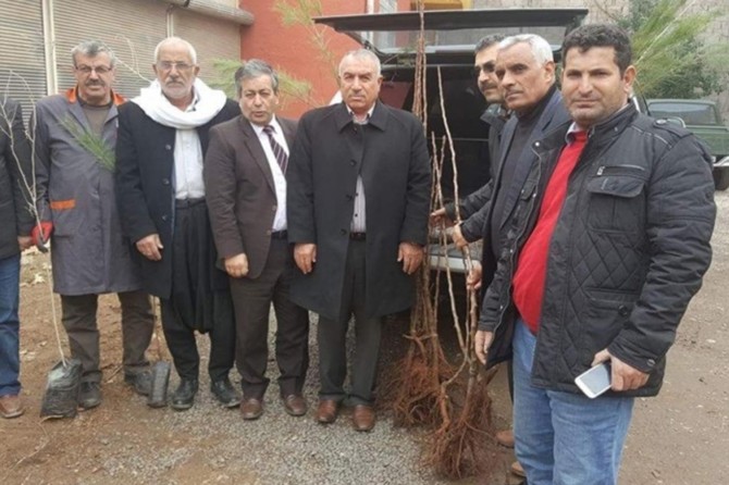 Viranşehir İlçe Tarım Müdürü: Ücretsiz fidan için başvurun