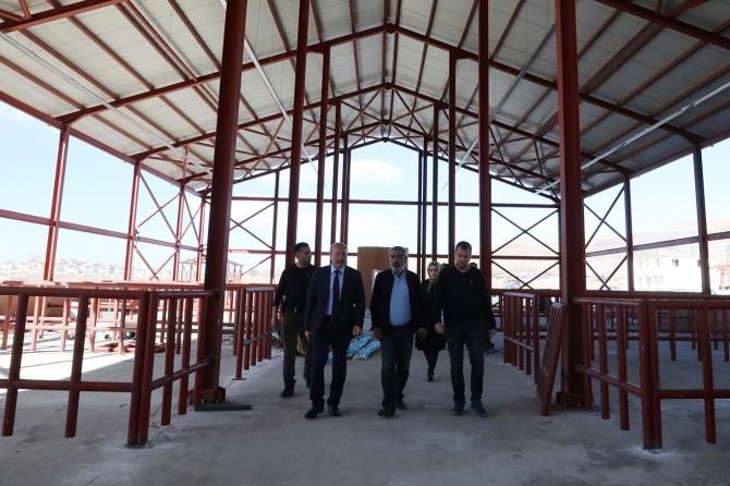 Van hayvancılık alanında çok önemli bir yere sahip