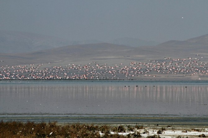Akşehir Gölü "kesin korunacak hassas alan" olarak kaydedildi