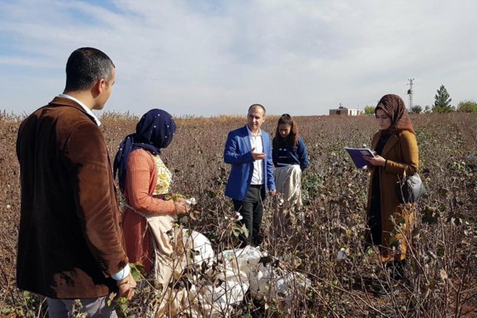 ​Şanlıurfa Viranşehir'de müdür ve öğretmenler tarlada çalışan öğrencileri ziyaret etti
