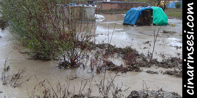 Batman'ın Selamet Mezrasını Sel Bastı