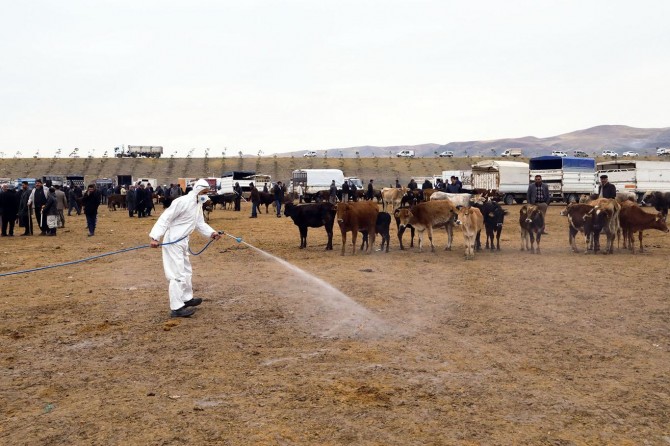 Van Büyükşehir Belediyesinden hayvan pazarına ilaçlama