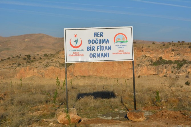 ​Her Doğuma Bir Fidan Ormanı kuruldu