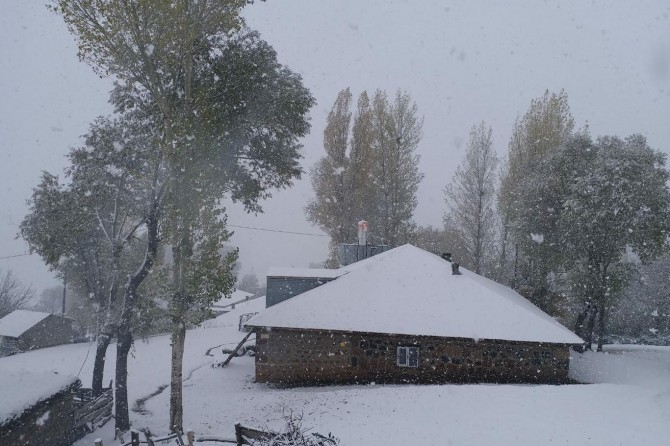 Muş'a mevsimin ilk karı düştü
