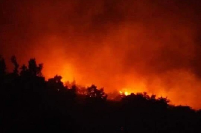 Antalya'daki orman yangını söndürüldü