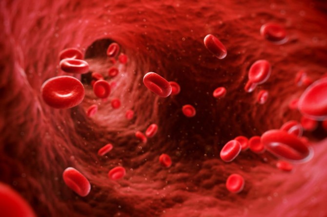 Hemofili hastaları artık hayatla daha barışık