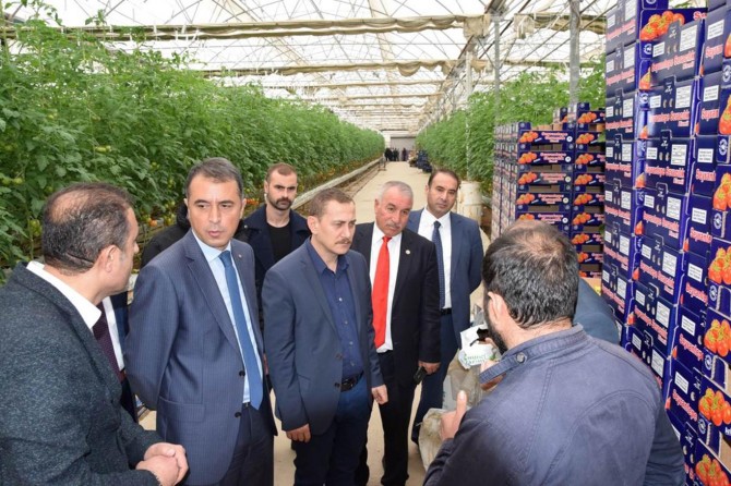 Viranşehir Kaymakamı Dereci Bismil'deki seralarda incelemelerde bulundu