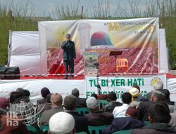 Çınar'da Kutlu Doğum Etkinliği 14 Nisan'da Yapılacak