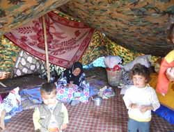 Viranşehir'e Sığınan Suriyelerinin Çilesi Bitmek Bilmiyor (Video)