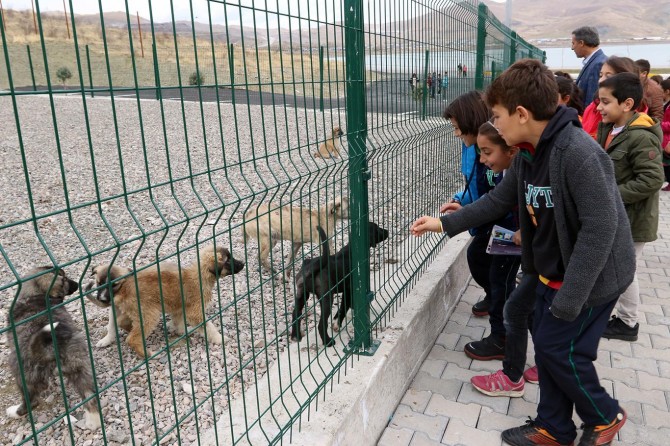 Van'da minikler sevimli hayvanlarla buluştu