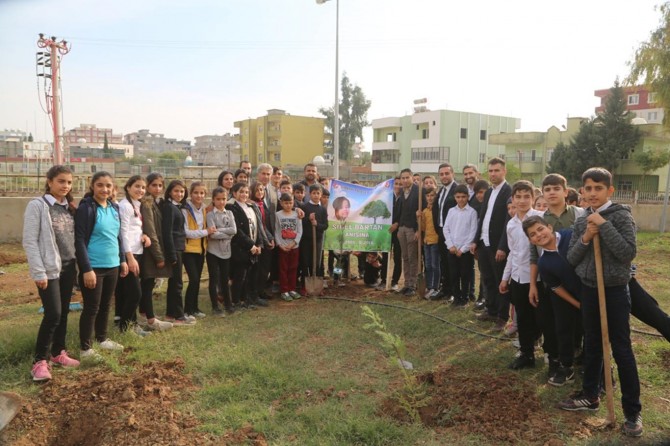 Talasemi hastaları adına fidan dikildi