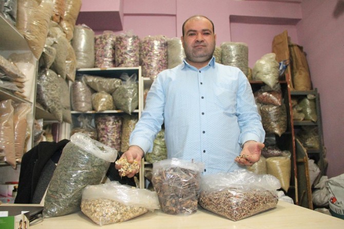 Antibiyotik yerine doğal ürünler tercih edilmeli