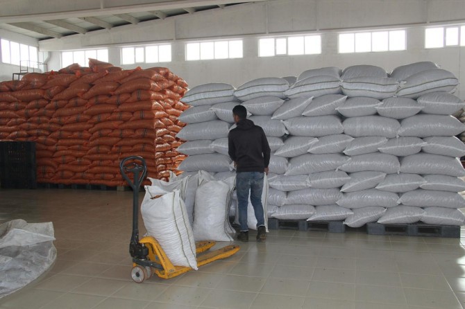 İşletilen tıbbi bitki ve meyve çeşitleri Almanya’ya ihraç ediliyor