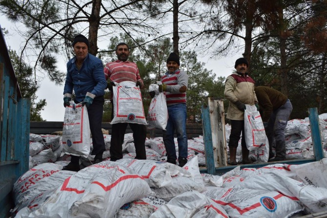 Ücretsiz kömür dağıtımına başladı