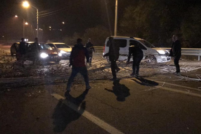 Kavak ağaçları ana yola devrildi