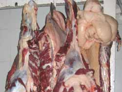 Toplam Kırmızı Et Üretimi 196 Bin Ton