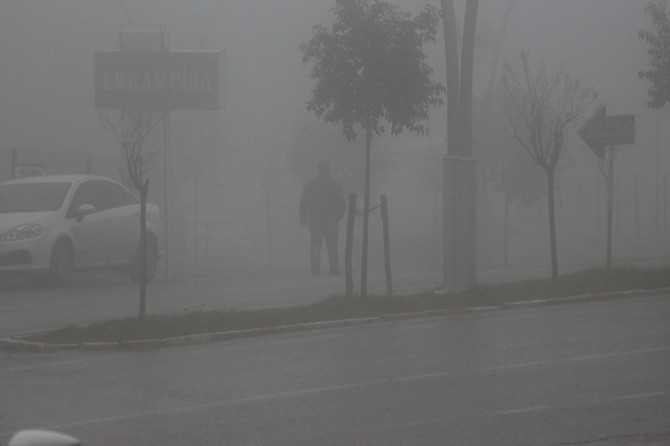 Mardin’de yoğun sis etkili oluyor