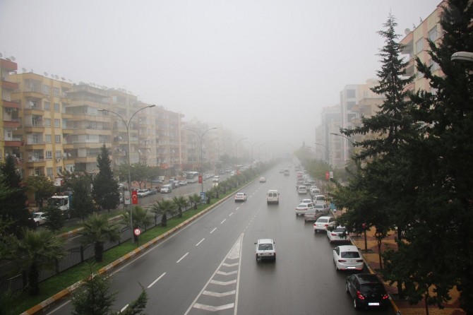 Şanlıurfa’da yoğun sis etkili oluyor