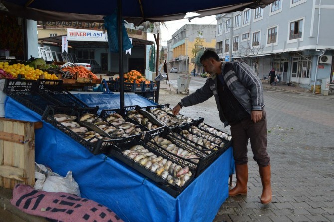 Balık hem ekonomik hem de sağlıklı